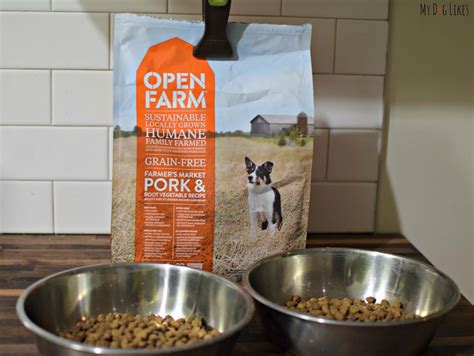 Open Farm Dog Food Recall: A Paw-sitive Step Towards Transparency